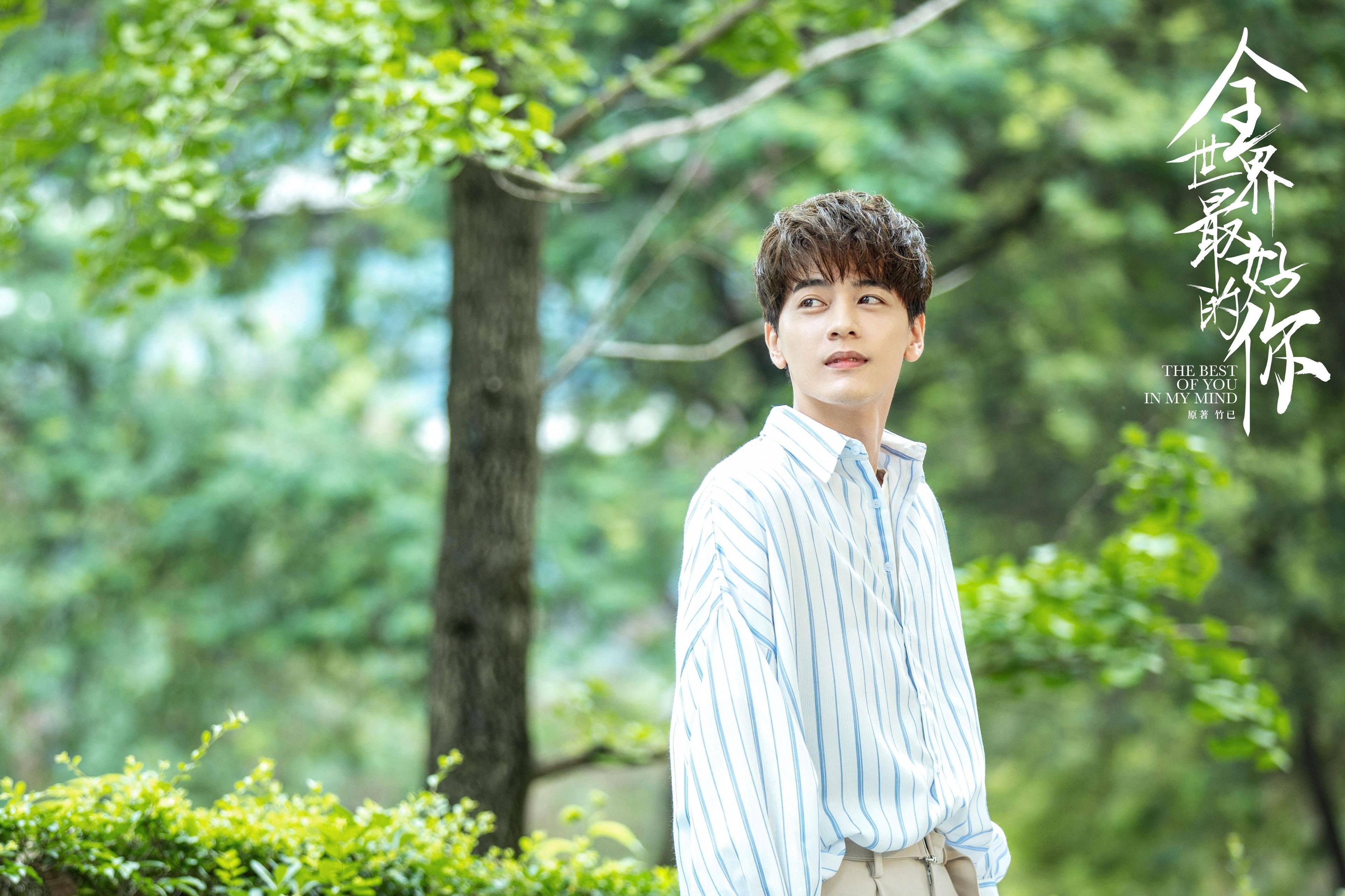 伊朗马术协会推出马匹健康管理系统，提升马匹福利。，伊朗 马赛克