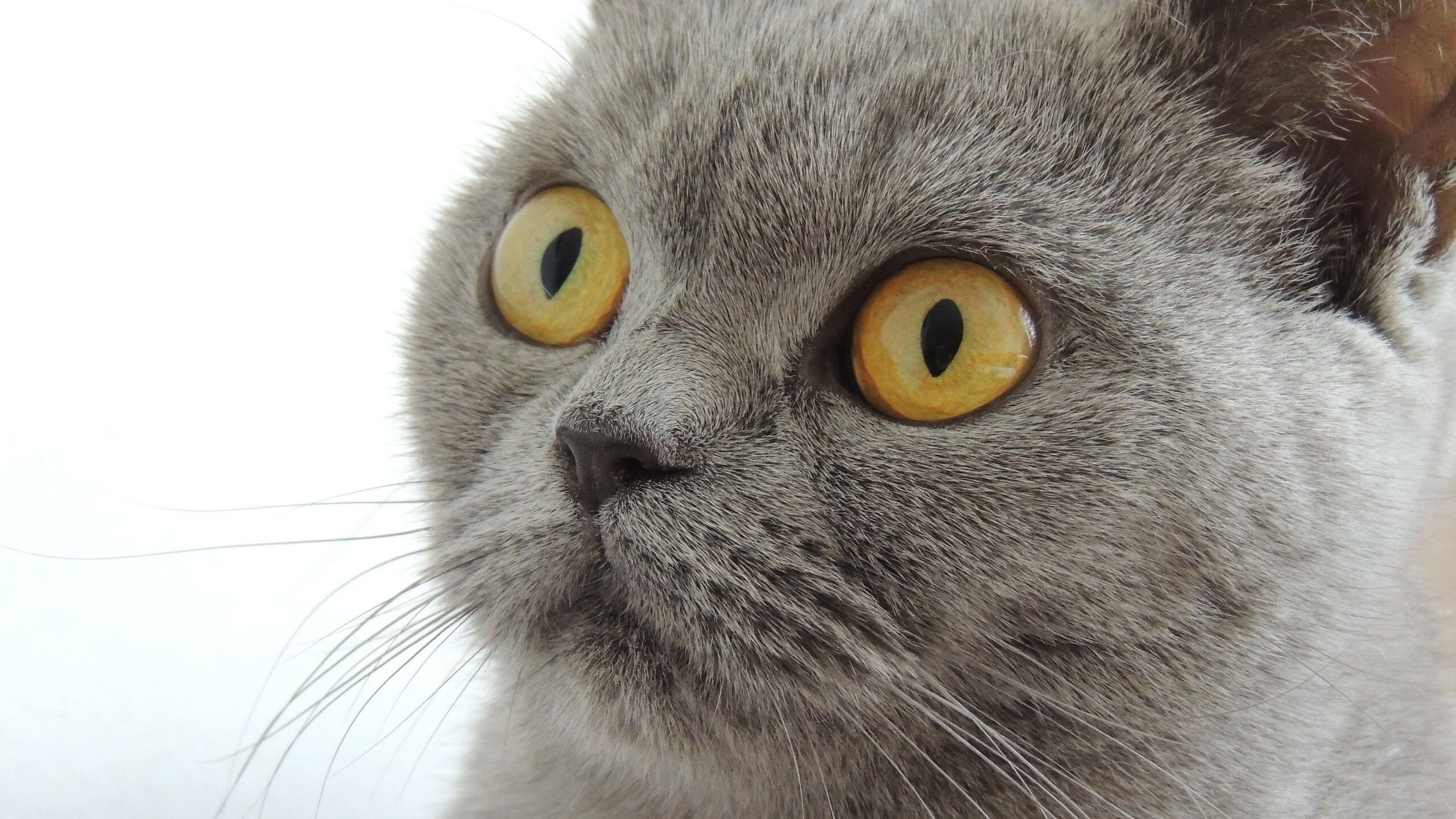 各地青少年篮球交流营在海南成功举办,促进区域合作,海南省青少年篮球联赛2020