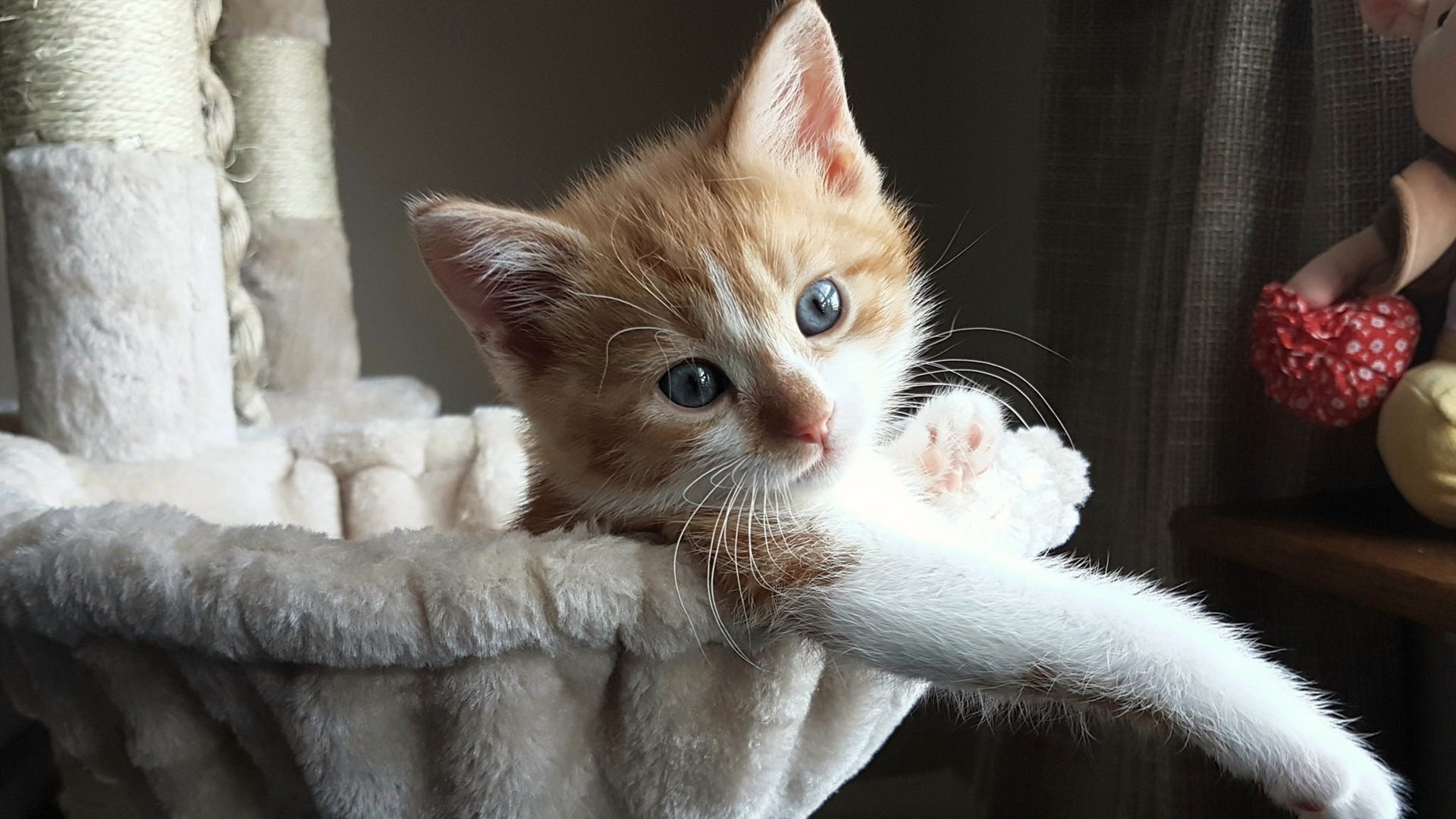 德甲足球逐渐变得更具观赏性和战术性，德甲新赛季足球